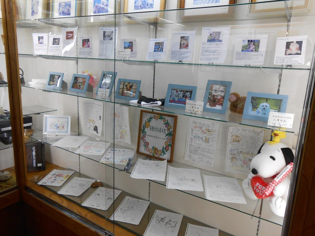 Kinugawa Kokusai Hotel Nikkō Extérieur photo