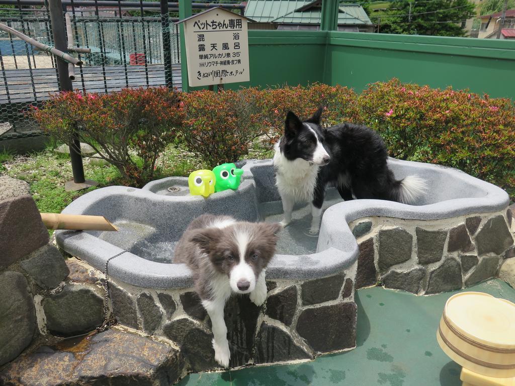 Kinugawa Kokusai Hotel Nikkō Extérieur photo
